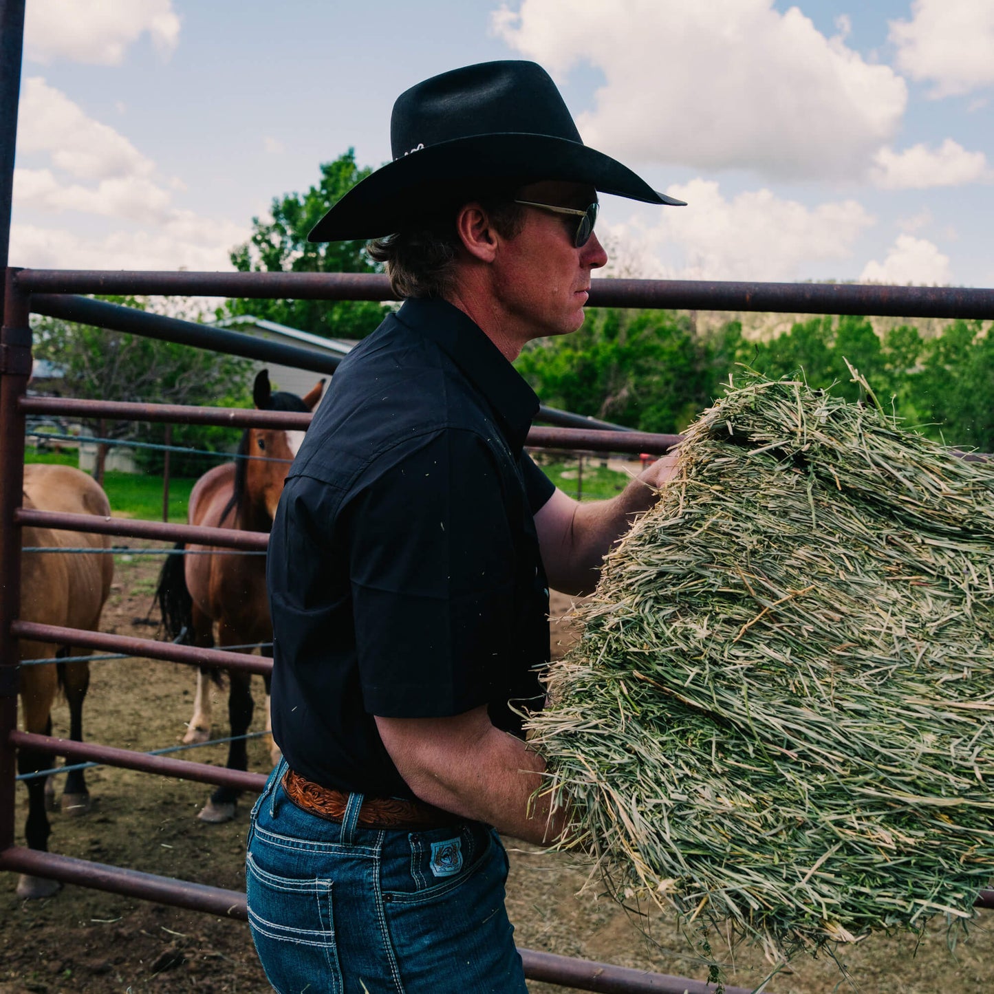SEELEY S/S BUTTON-UP SHIRT - BLACK