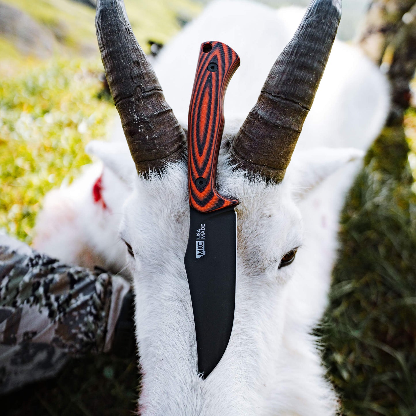 TRIUMPH PRO - ORANGE & BLACK