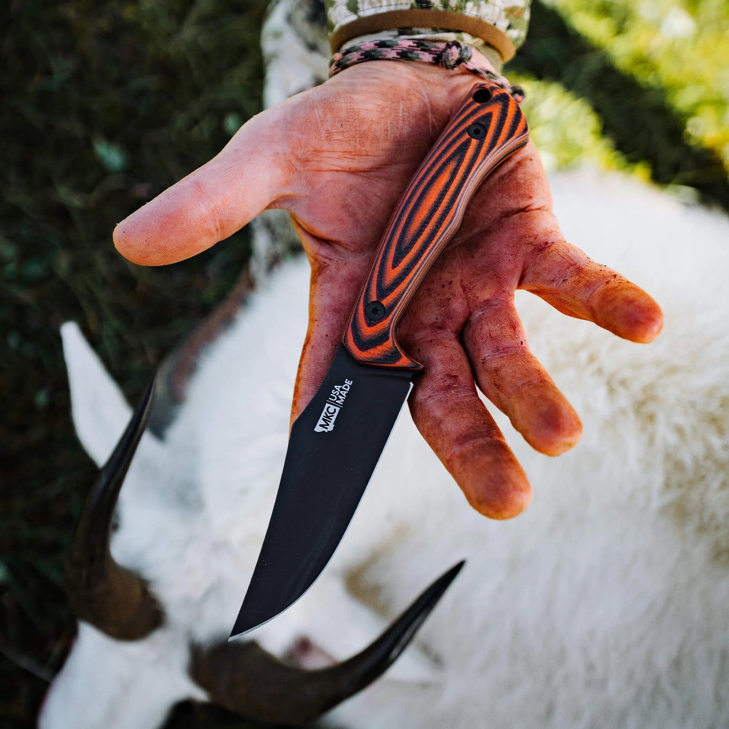 TRIUMPH PRO - ORANGE & BLACK