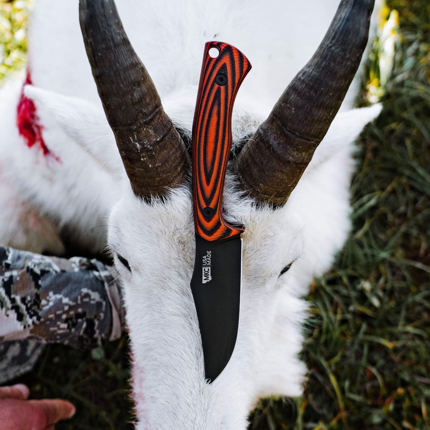 TRIUMPH PRO - ORANGE & BLACK