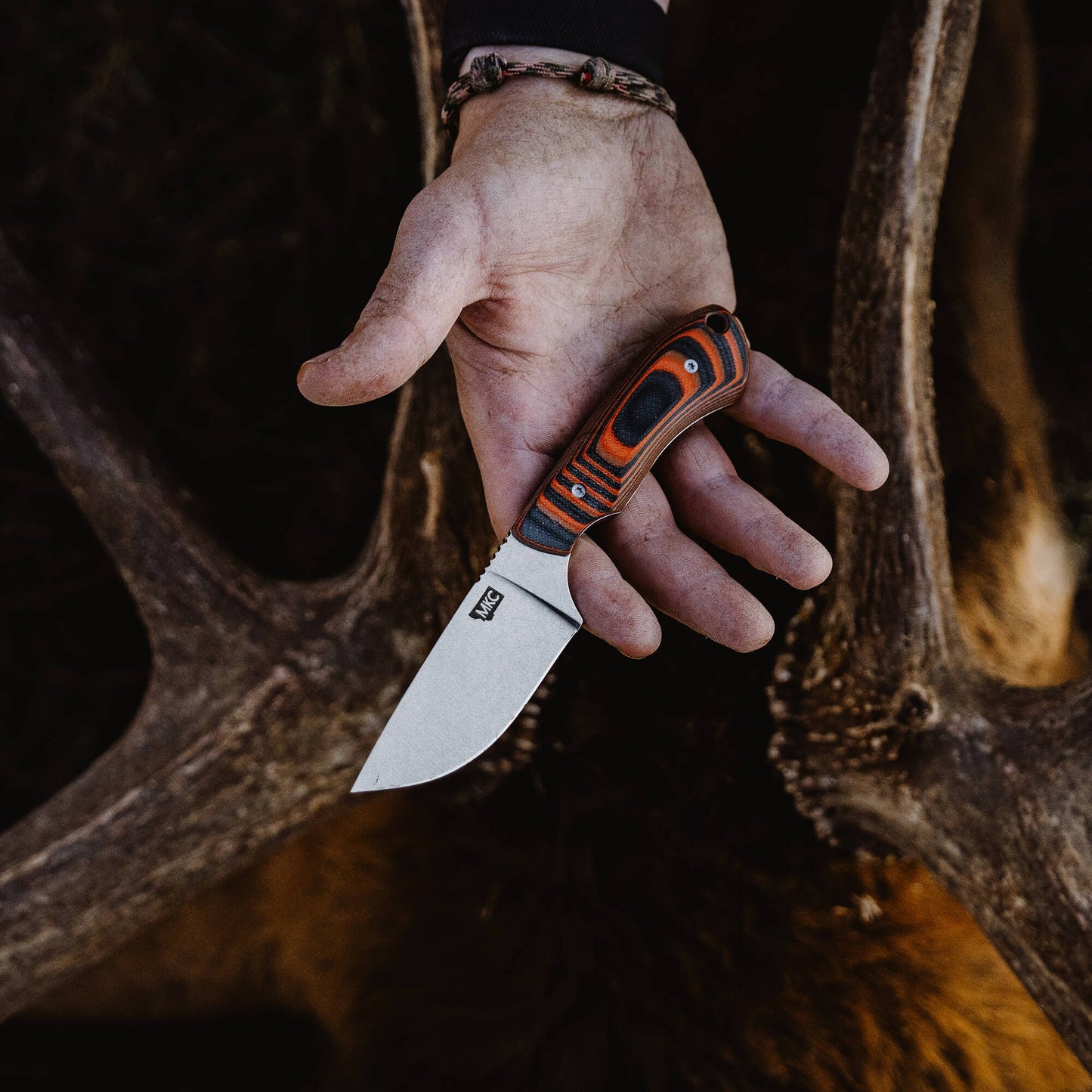 ELKHORN SKINNER - ORANGE & BLACK