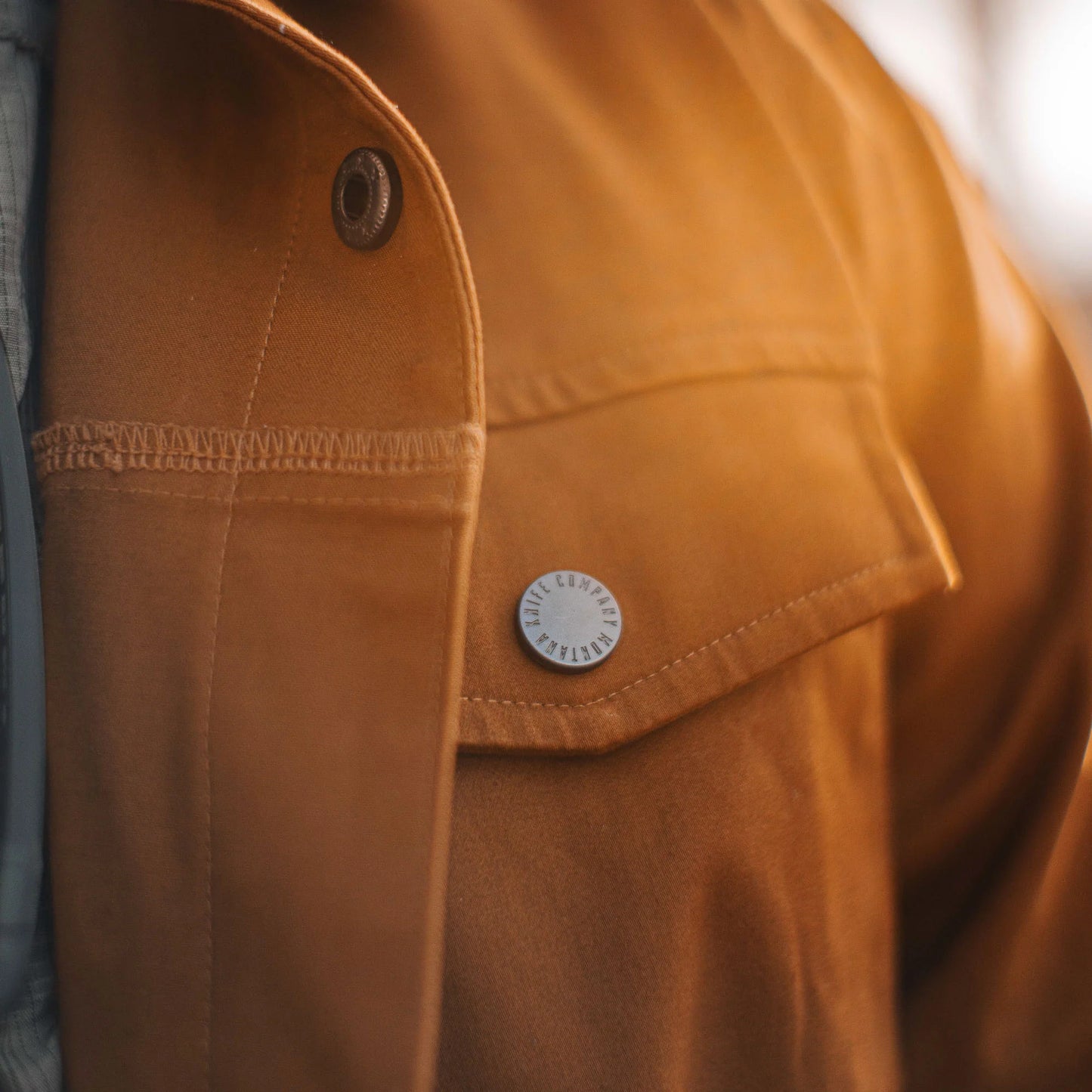 HAMILTON SHACKET - COYOTE